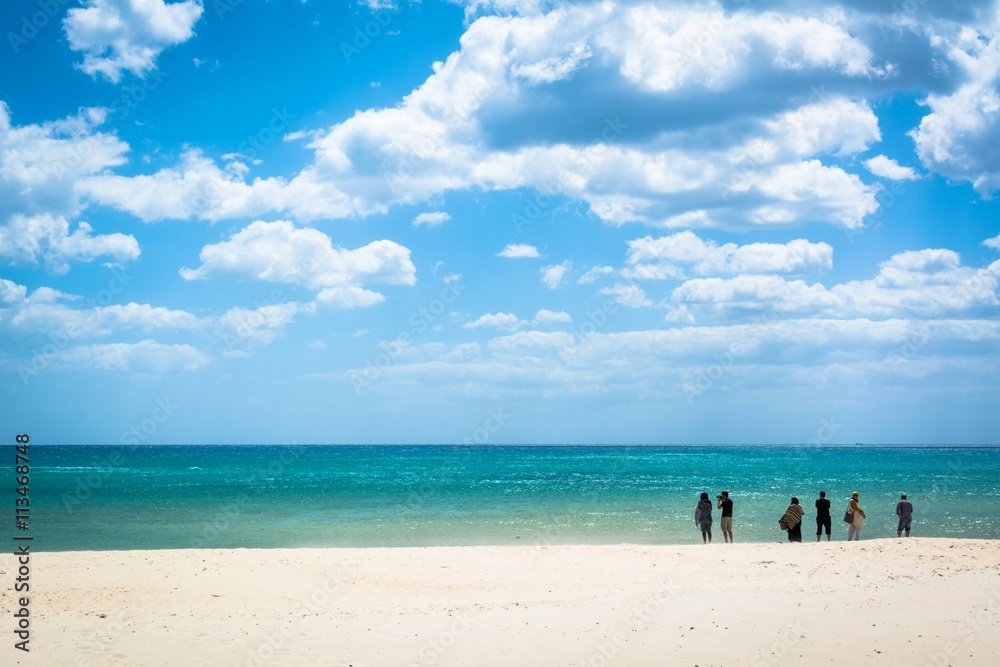Tunisia beach, Hammamet Jasmine