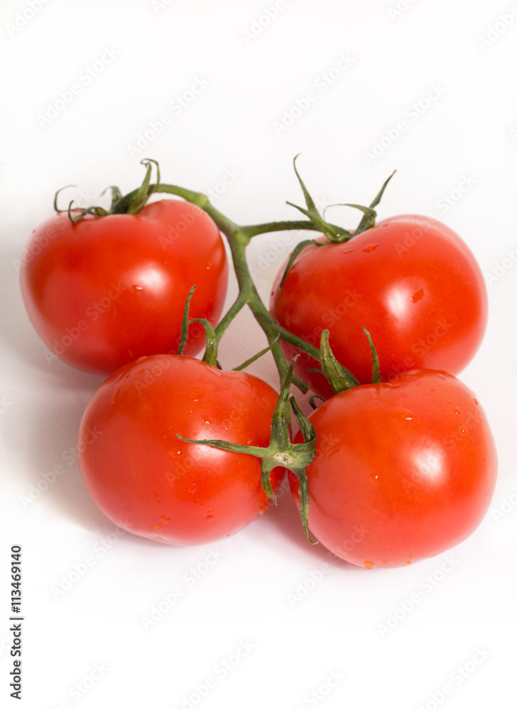 Red tomatoes on a branch isolated on white background Red tomatoes on a branch isolated on white background