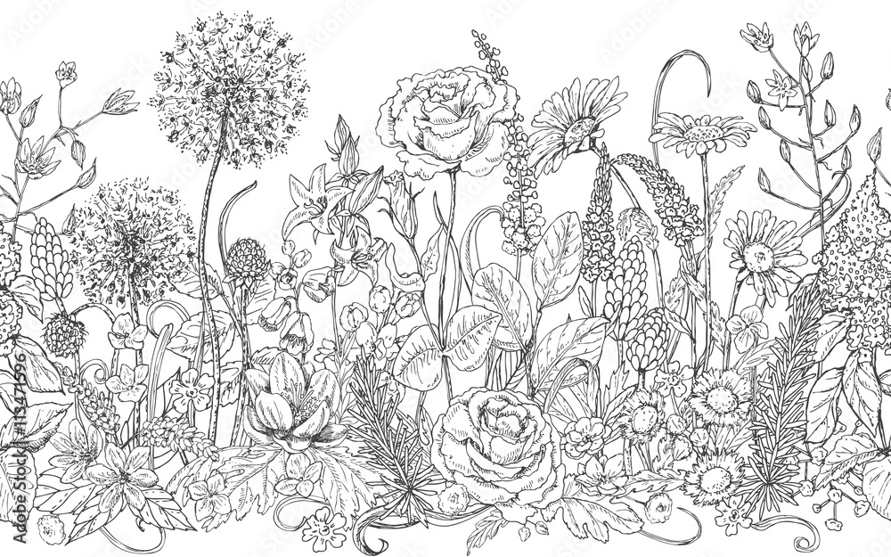 Seamless line pattern with wildflowers