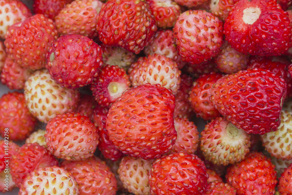 Forest berry - strawberries Forest berry - strawberries