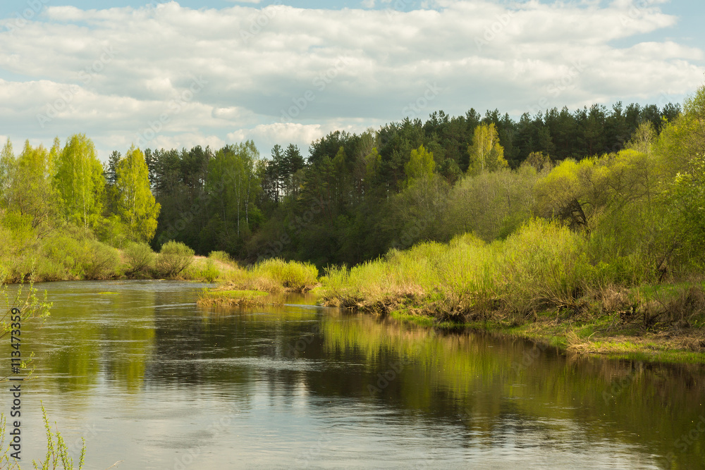 Bright Spring river landscape. May River Cherioha. Pskov region, Russia Bright Spring river landscape. May River Cherioha. Pskov region, Russia