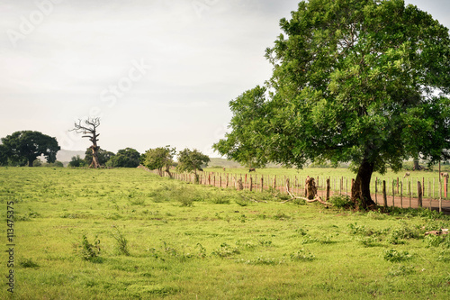 Rural landscape in the village by Puerto Momotombo in the vicinity of Momotombo volcano, Leon, Nicaragua photo