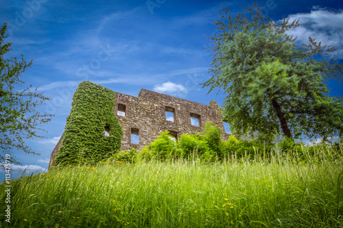 Ulmener Burgruine photo