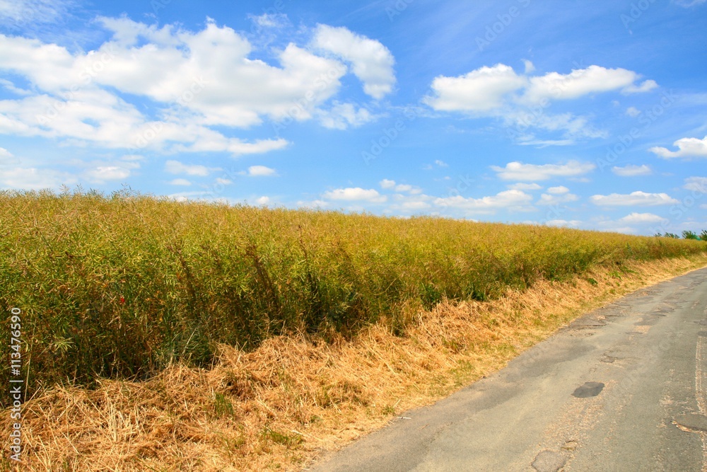 Obraz premium Auvers-sur-Oise - França
