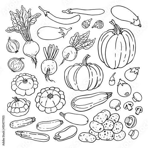 Doodle vegetables set with squashes, potatos, pumpkins, eggplants, mushrooms