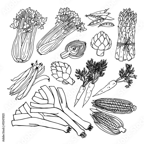 Doodle vegetables set with celery, green beans, corn, carrots, asparagus, artichokes