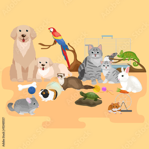 Home pets set, cat dog parrot goldfish hamster, domesticated animals