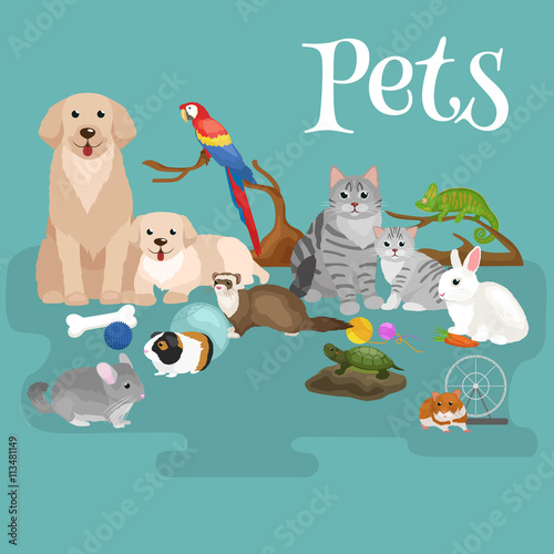 Home pets set, cat dog parrot goldfish hamster, domesticated animals