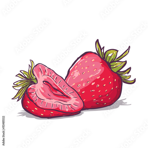 Vector hand drawn red strawberries, isolated on white background. Summer berries colorful illustration.