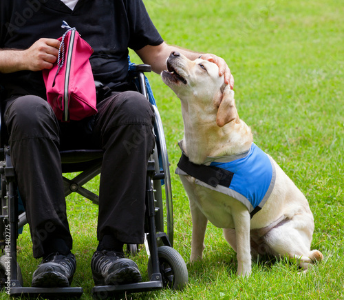 Obraz na płótnie Labrador guide dog and his disabled owner