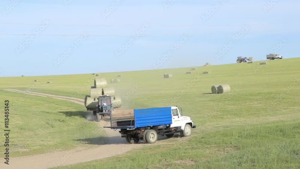 Wheat Field Waves Moved by Summer Wind Pan Nature Background Wheat Field Waves Moved by Summer Wind Pan Nature Background