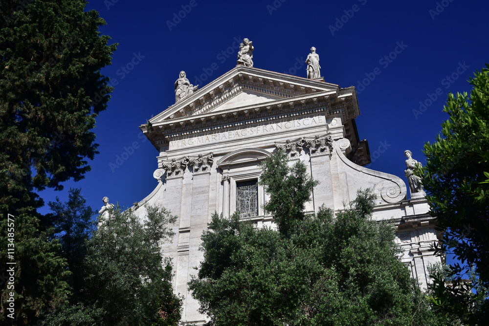 Basilica of Santa Francesca Romana rise above vegetation in Roman Forum