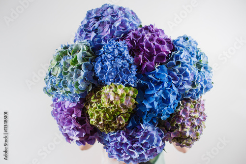 Fototapeta Naklejka Na Ścianę i Meble -  hand holding a bunch blue color hydrangea white background. bright colors. purple cloud. 50 shades
