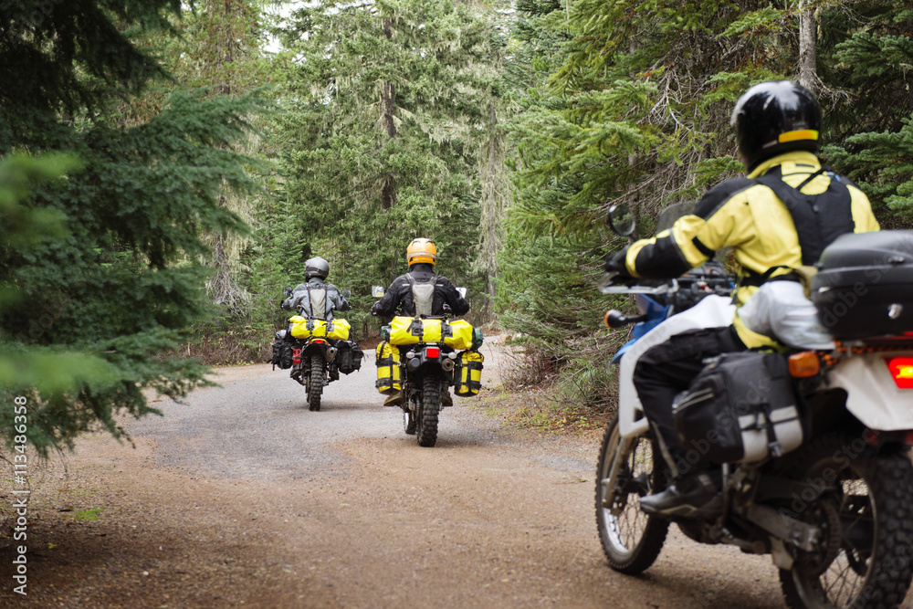 Rear view of men riding motorcycles on road amidst trees Rear view of men riding motorcycles on road amidst trees