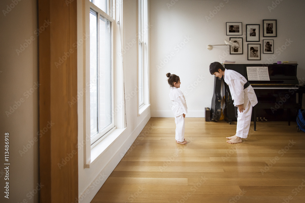 Siblings practicing karate in brightly lit home Siblings practicing karate in brightly lit home