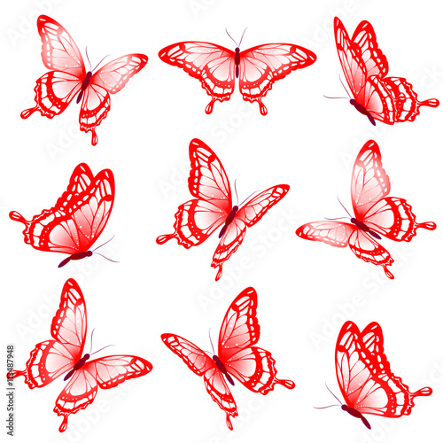 Canvas Print butterflies design
