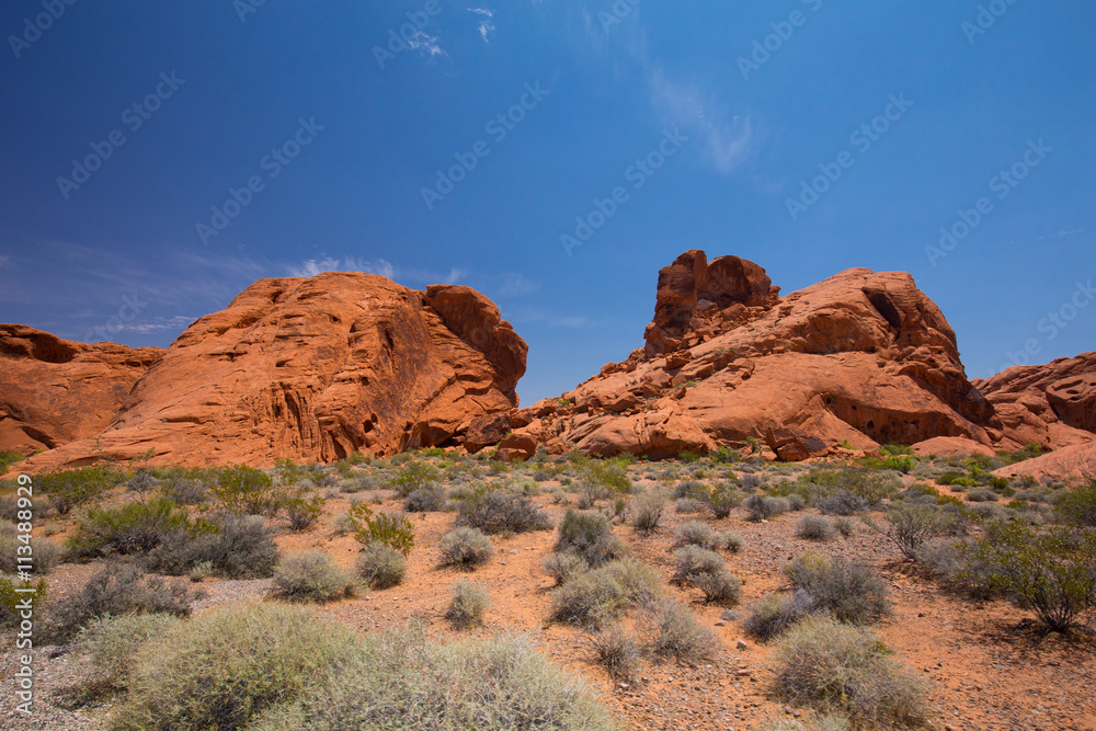 Beautiful cinematic deserted nature view under the blue cloudless sky in the American West
Beautiful cinematic deserted nature view under the blue cloudless sky in the American West