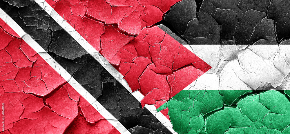 Trinidad and tobago flag with Palestine flag on a grunge cracked