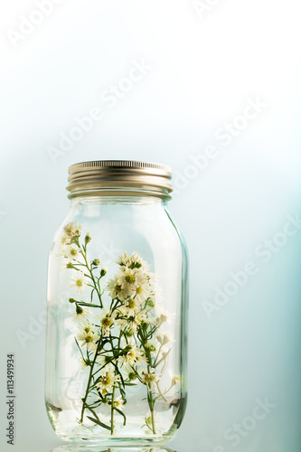 Dream keeper, Baby's breath flowers in a glass jar. Gypsophila paniculata.