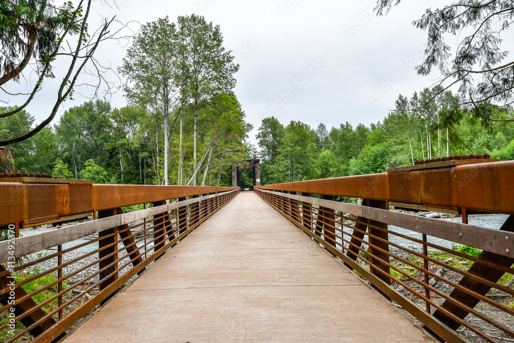 Obraz premium Railroad Bridge Park
