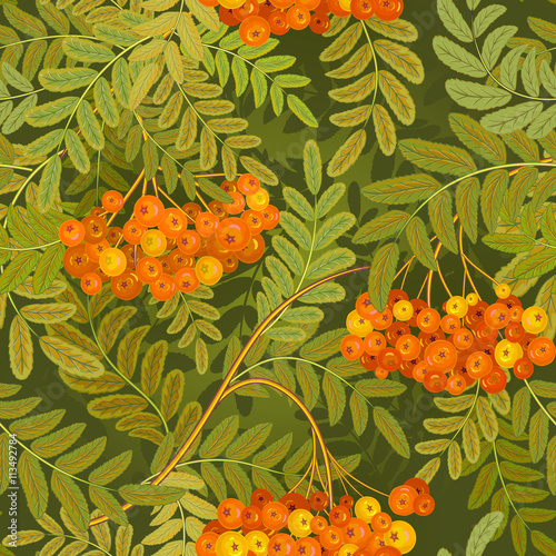 Принти на полотні Seamless pattern with leaves and ash-berry rowanberry