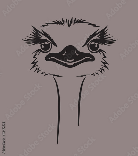 funny vector illustration of an ostrich. For t-shirt, poster, print design