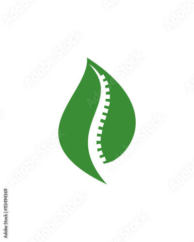Green Orthopaedic
