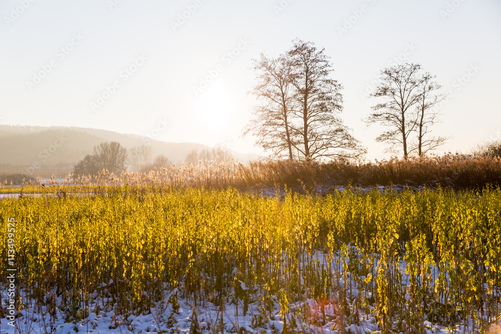 Fototapeta premium Abendlicht 