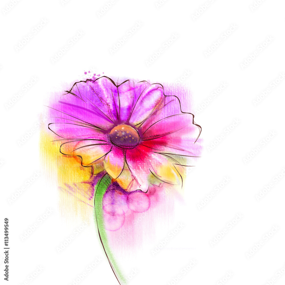 Fototapeta premium Abstract watercolor painting red gerbera, daisy flower on white paper background. Hand painted red floral water color. Sketch flower paint in pastel colors. Painted watercolour flower sketch 