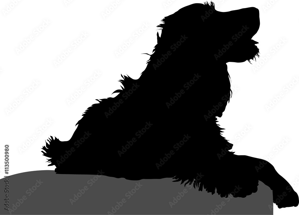 Cocker Spaniel liegt auf einem Hocker - Silhouette Cocker Spaniel liegt auf einem Hocker - Silhouette