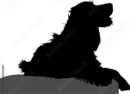 Cocker Spaniel liegt auf einem Hocker - Silhouette