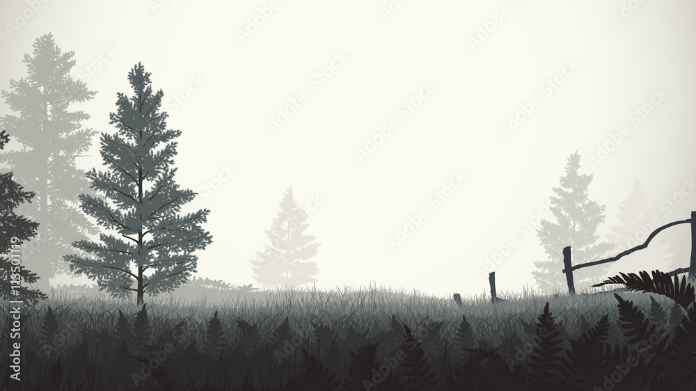 Naklejka premium morning mist illustration