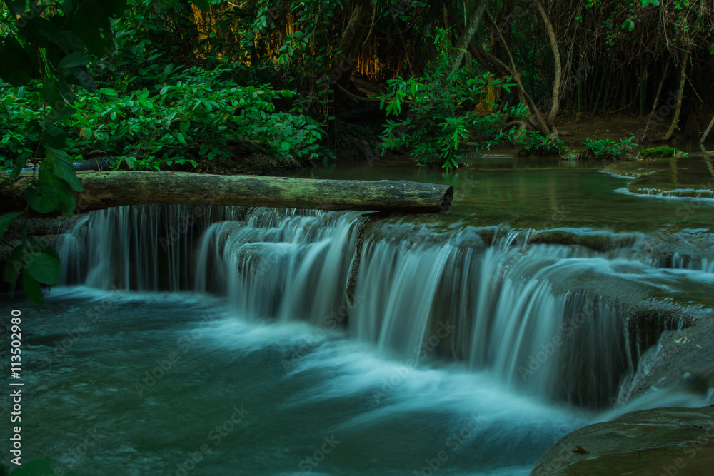 Obraz premium waterfall in forest