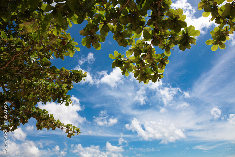 Obraz premium Nature