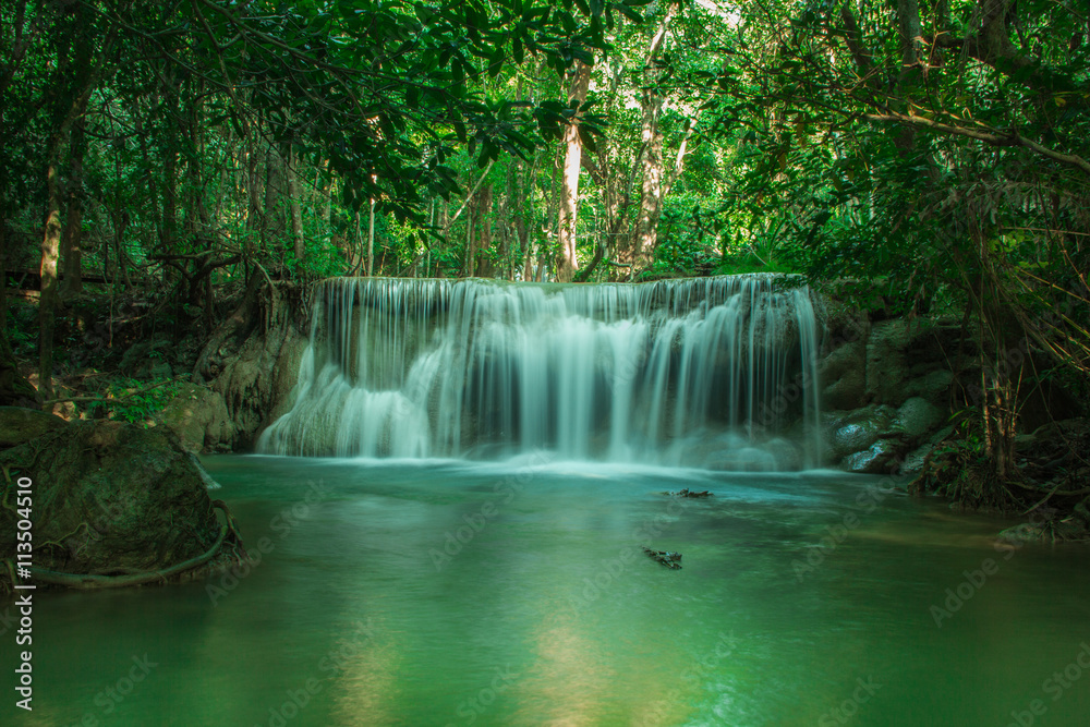 waterfall in forest