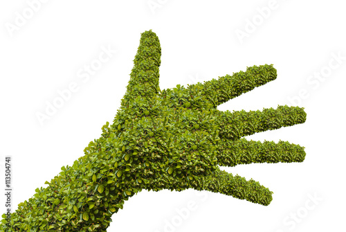 hand shaped bushes on white background.