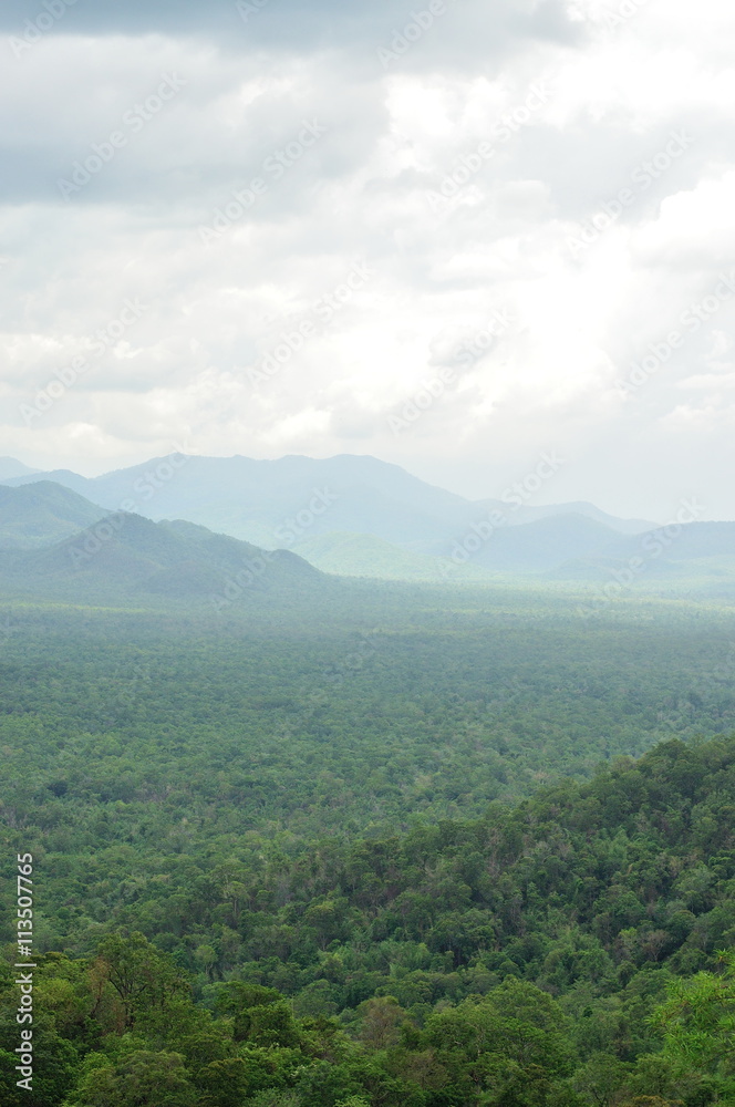 Fototapeta premium Forest landscape at Huai Kha Khaeng Wildlife Sanctuary, Thailand, World Heritage