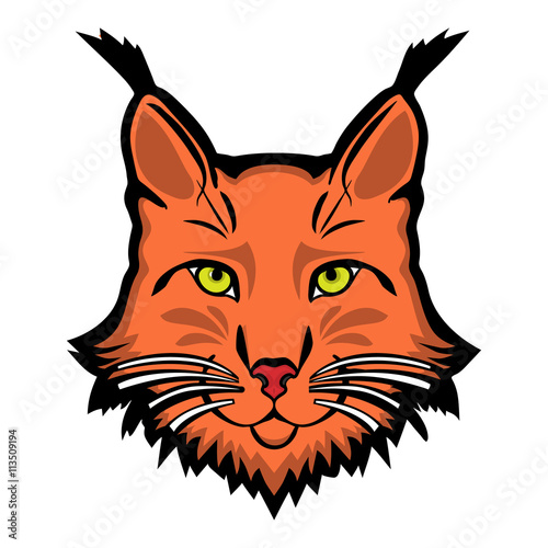 Lynx mascot logo. Head of lynx isolated vector illustration