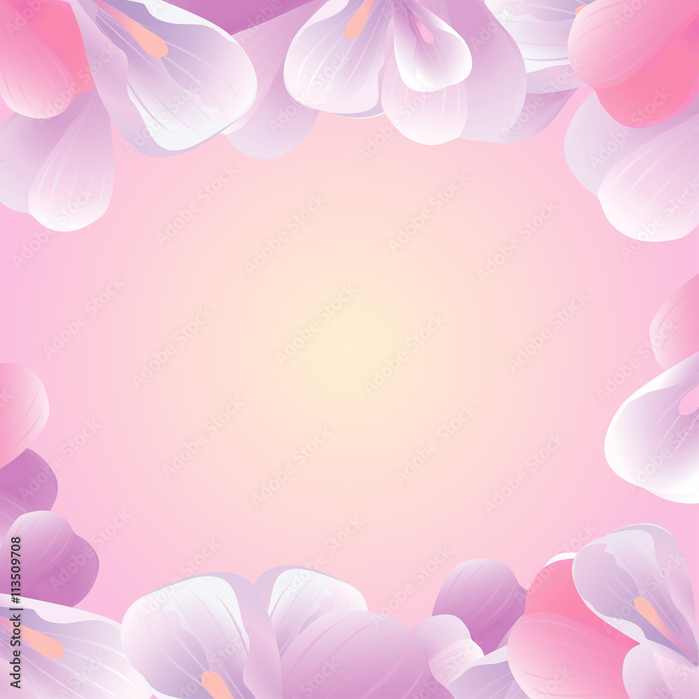 Flowers frame. Pink-Violet petals isolated on Pink background. Vector 