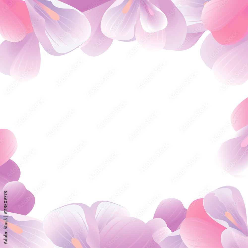 Flowers frame. Pink petals isolated on White background. Vector 