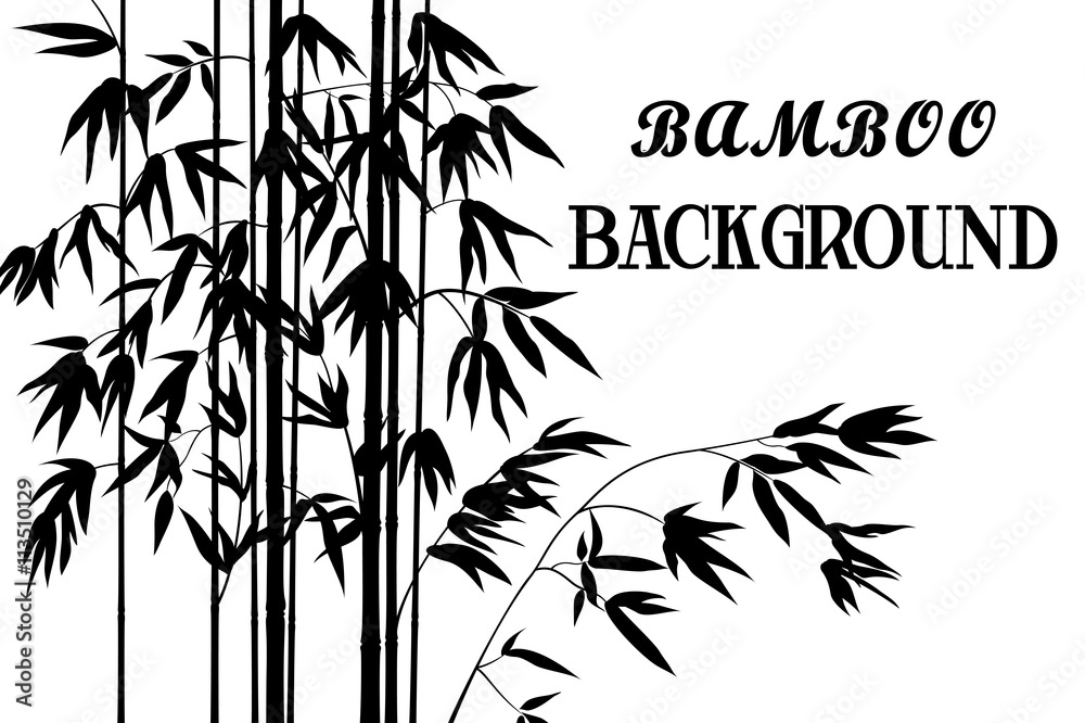 Naklejka premium Exotic Background, Tropical Bamboo Plants Stems with Branches and Leaves Black Silhouettes Isolated on White. Vector