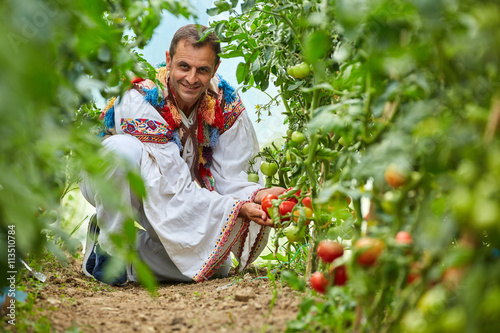 Romanian farmer in traditional costume in his greenhouse photo