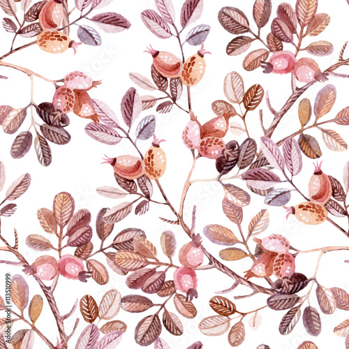 Watercolor seamless pattern with Dog Rose branches