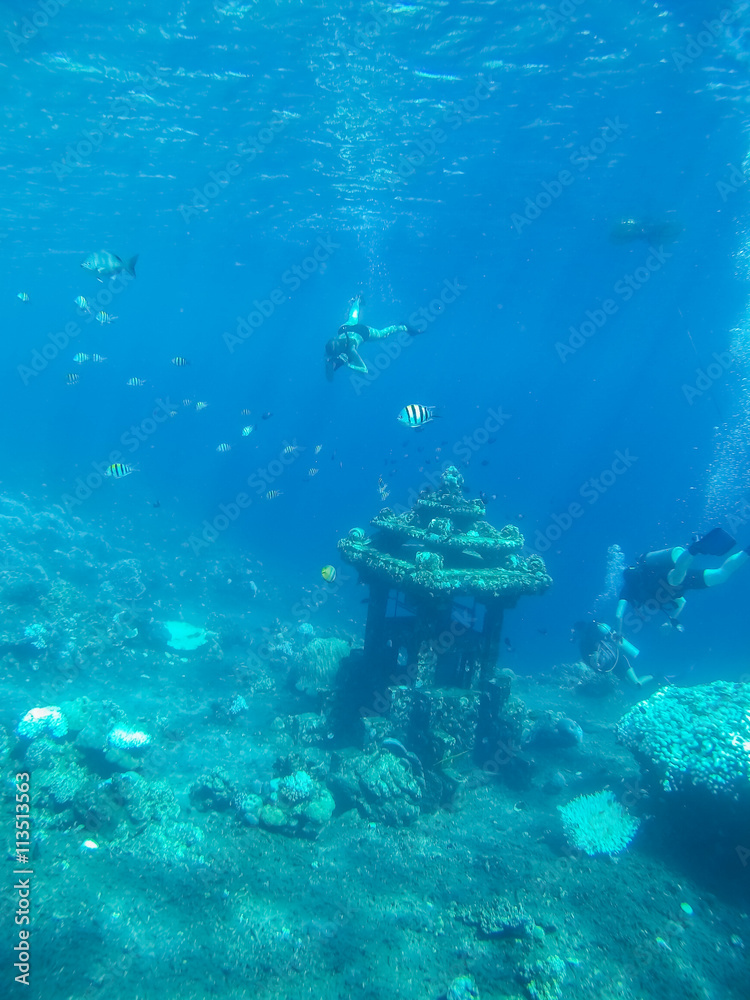 Obraz premium Underwater shot of the woman moving on the breath hold in the depth. Amed village, Bali, Indonesia