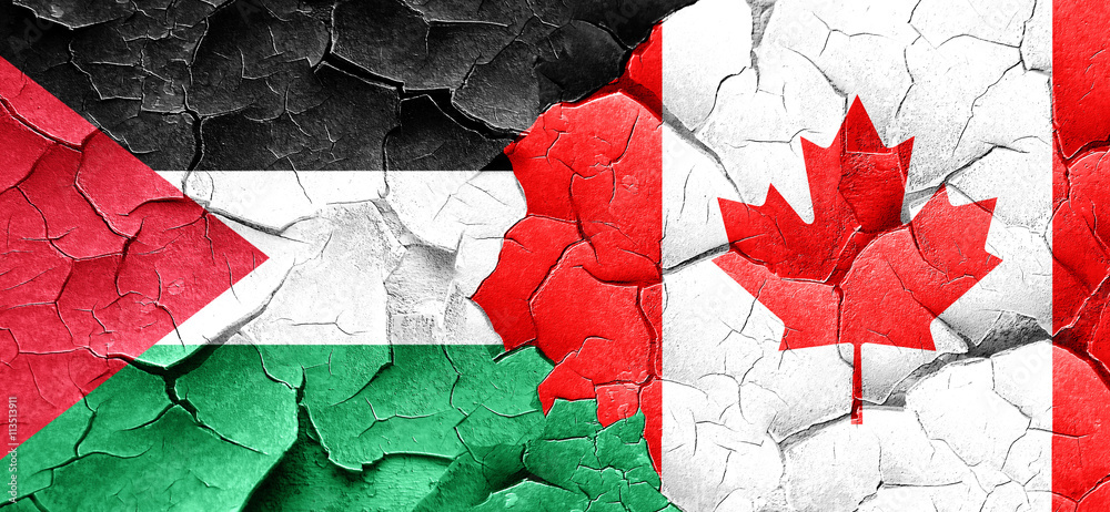 palestine flag with Canada flag on a grunge cracked wall