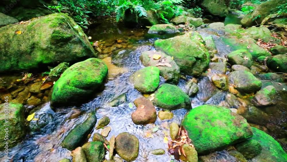 Rapids with green moss in the forest river Rapids with green moss in the forest river