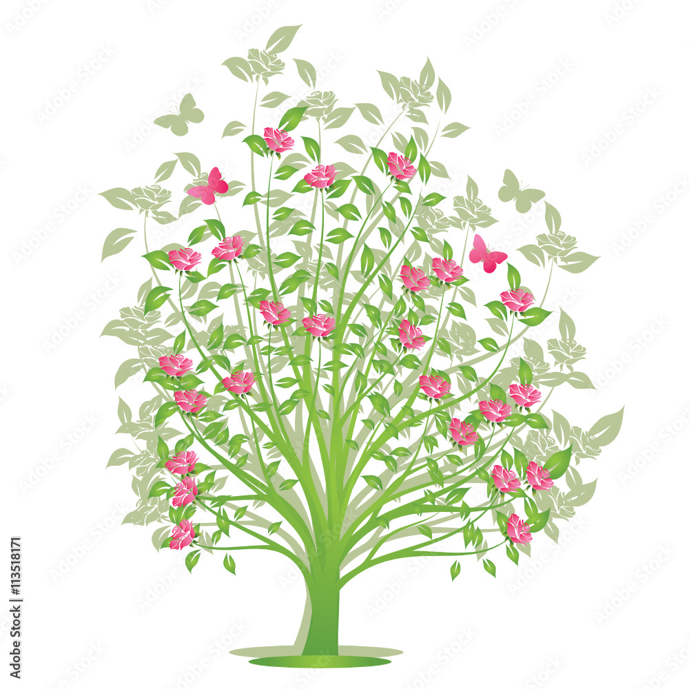 Fototapeta premium arbre de roses rosees