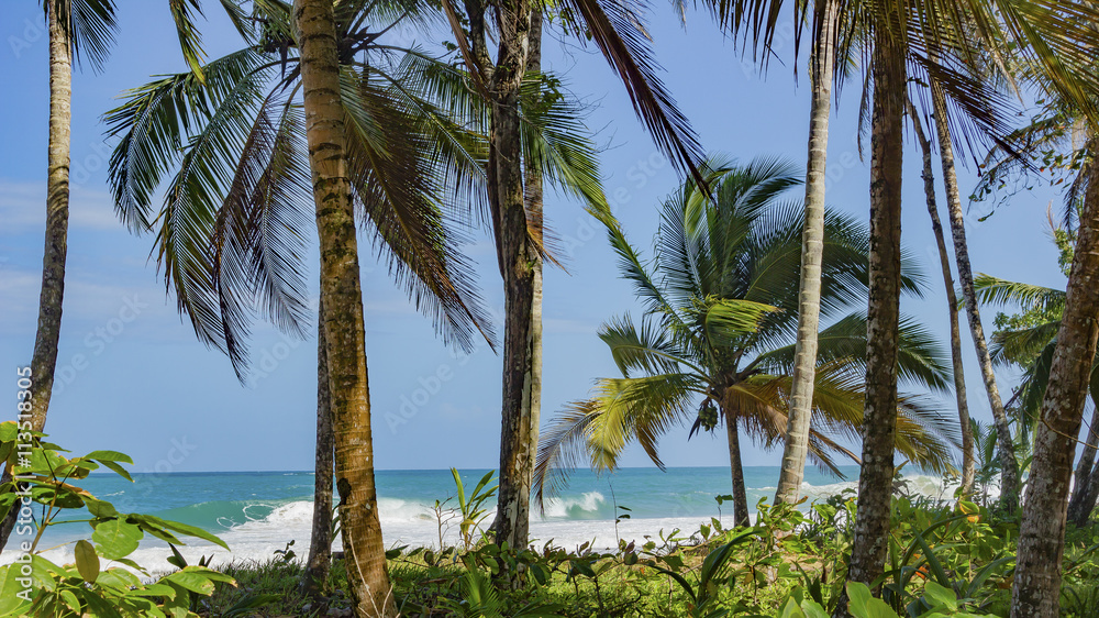 Untouched tropical beach in Bocas del Toro Panama