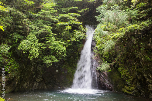 高知県津野町 追合の滝