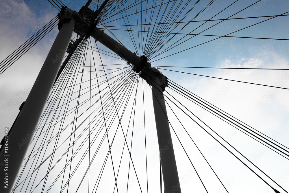 Fototapeta premium Singapore observation wheel